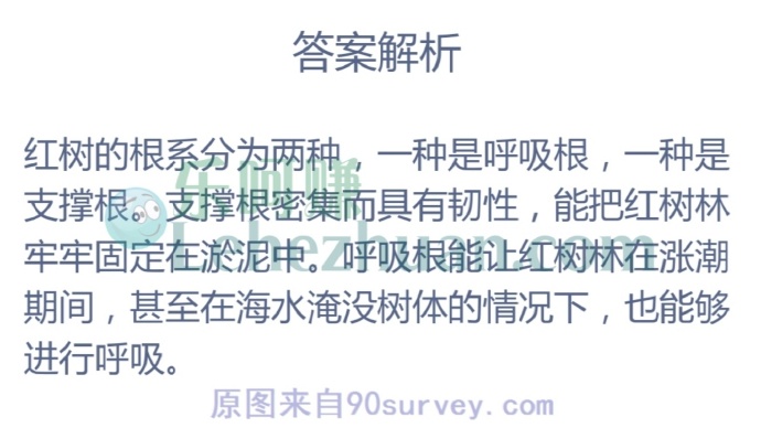 红树林发达的根系有以下哪些作用?