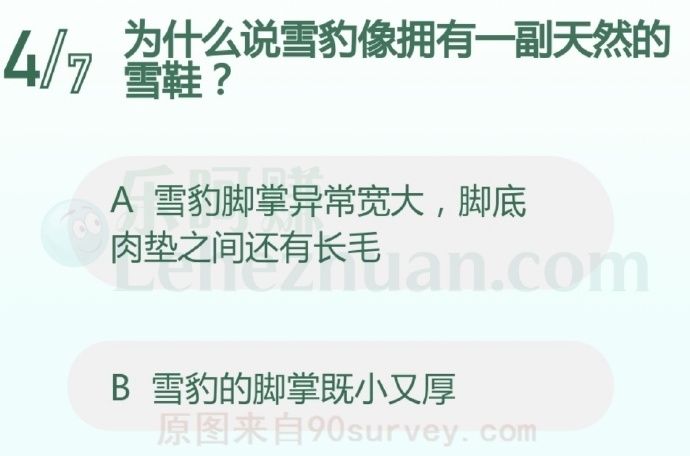 为什么说雪豹像拥有一副天然的雪鞋?