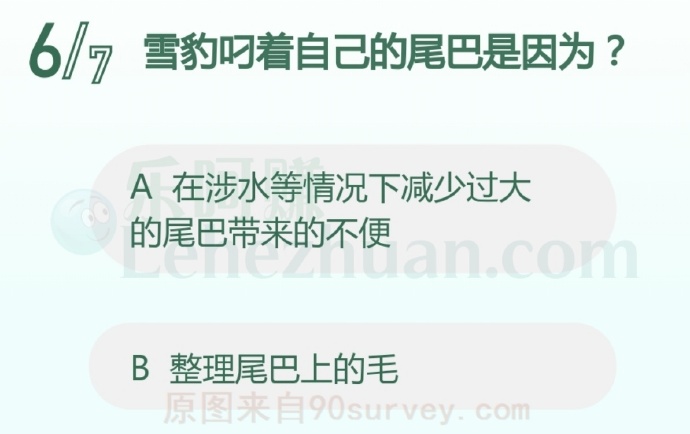 雪豹叼着自己的尾巴是因为?