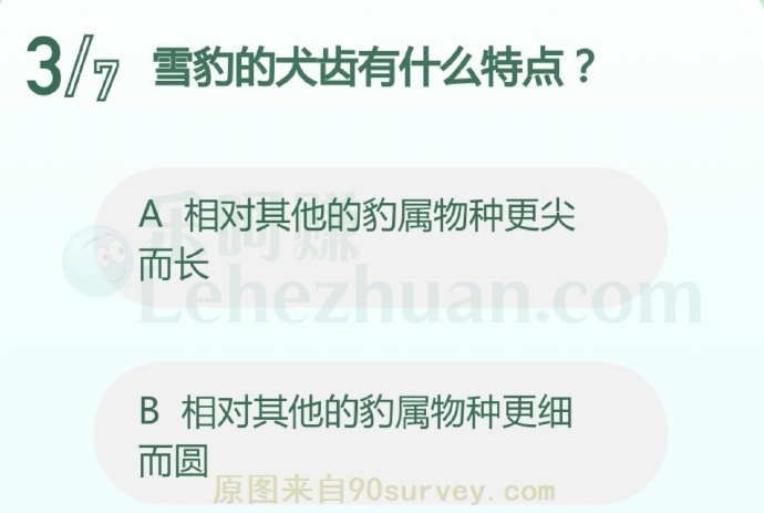 雪豹的犬齿有什么特点?