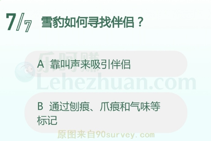 雪豹如何寻找伴侣?