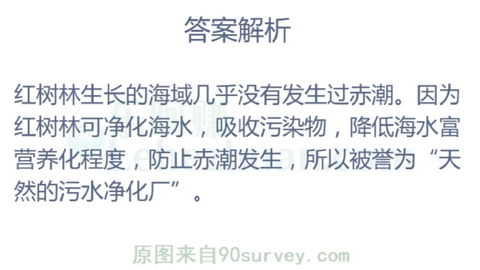 红树林广泛分布的海域会发生赤潮吗?