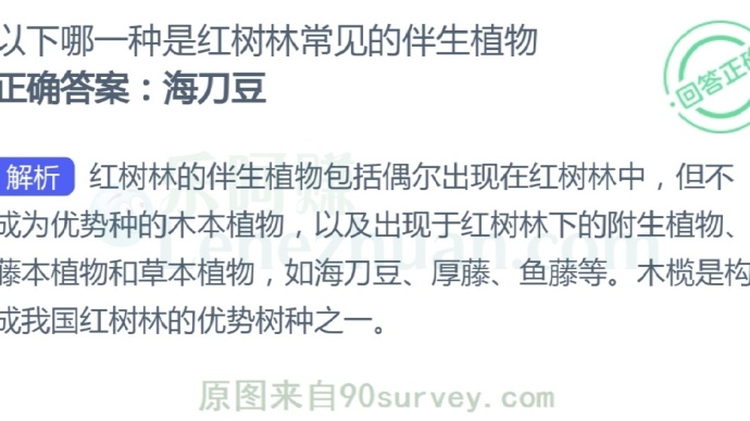 哪一种是红树林常见的伴生植物?
