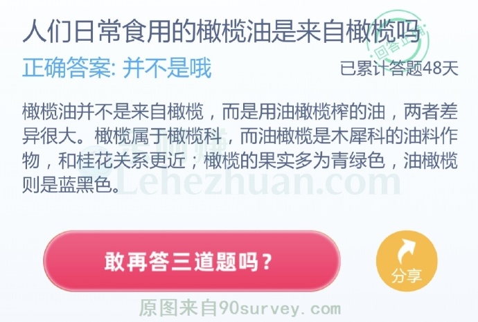 人们日常食用的橄榄油是来自橄榄吗?