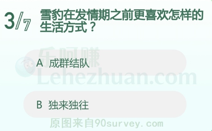 雪豹在发情期之前更喜欢怎样的生活方式?