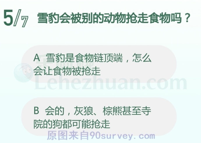 雪豹会被别的动物抢走食物吗?