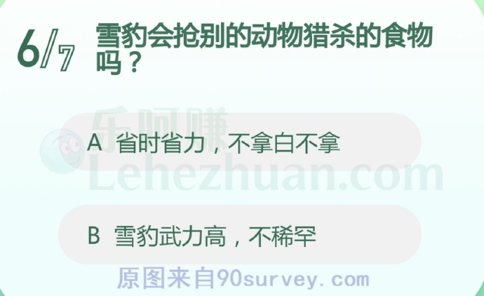 雪豹会抢别的动物猎杀的食物吗?