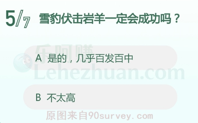雪豹伏击岩羊一定会成功吗?