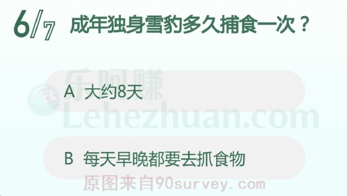 成年独身雪豹多久捕食一次?