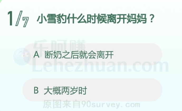 小雪豹什么时候离开妈妈?