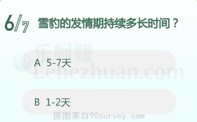 雪豹的发情期持续多长时间?