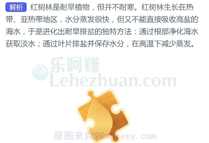红树林生长在海水中,不仅不怕涝,而且很?