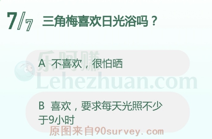 三角梅喜欢日光浴吗?