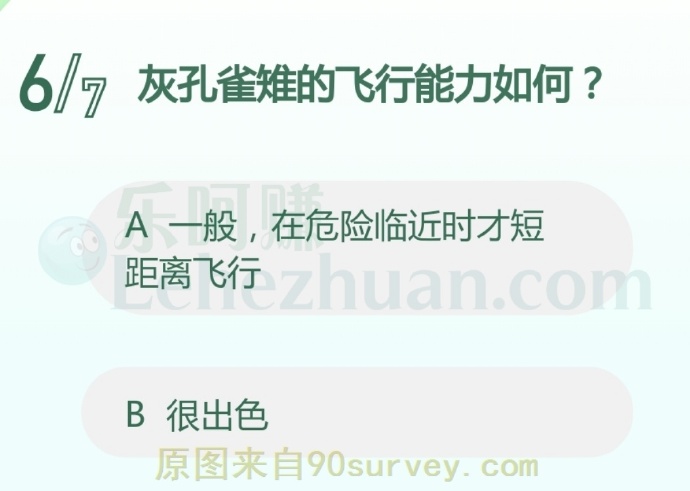 灰孔雀难的飞行能力如何?