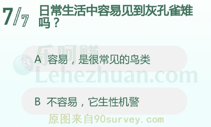 日常生活中容易见到灰孔雀雉吗?