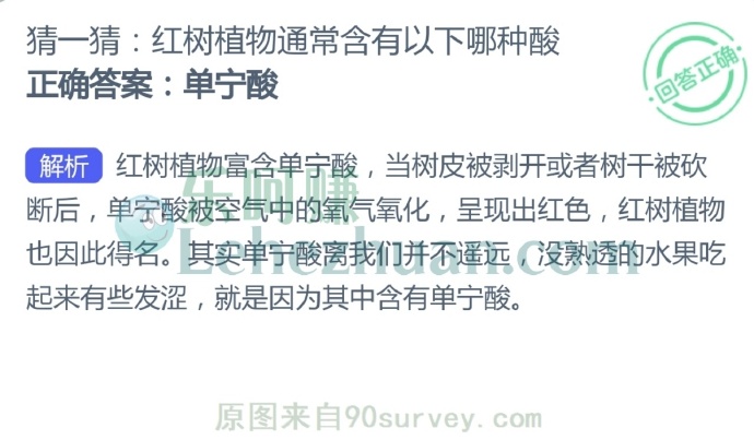 红树植物通常含有以下哪种酸?