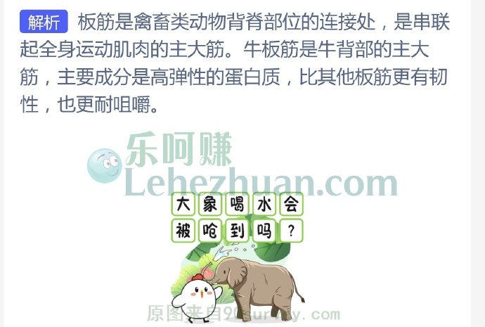 人们吃的“牛板筋”通常位于牛的哪个部位?