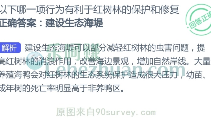 以下哪一项行为有利于红树林的保护和修复?