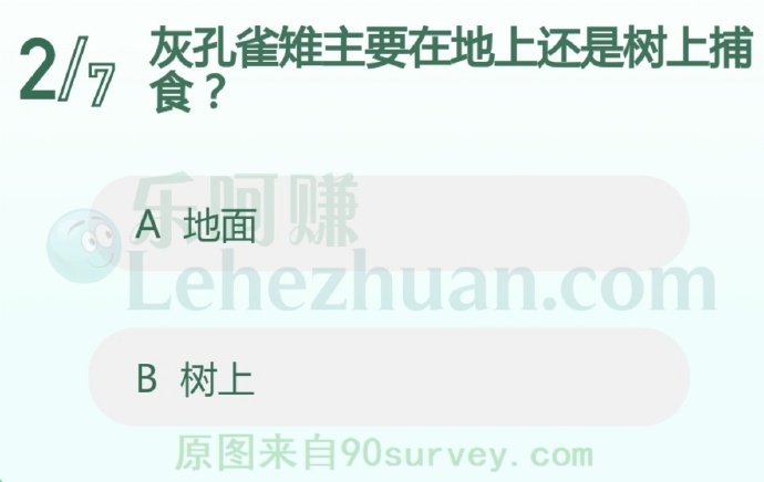 灰孔雀雉主要在地上取食