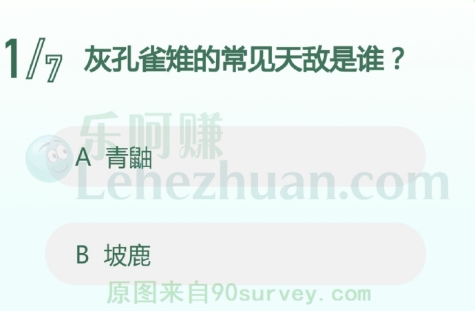 灰孔雀雉的常见天敌是谁?