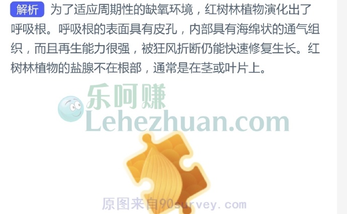 红树林植物演化出了各种各样的呼吸根,通常有以下哪种特点?