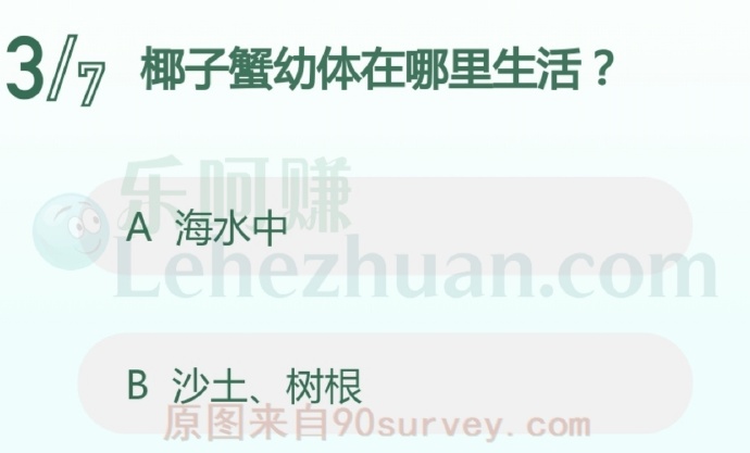 椰子蟹幼体在海水中变大成长