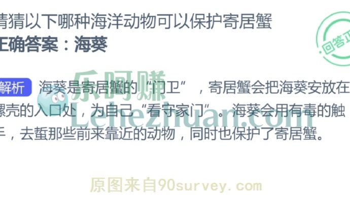 猜猜以下哪种海洋动物可以保护寄居蟹?