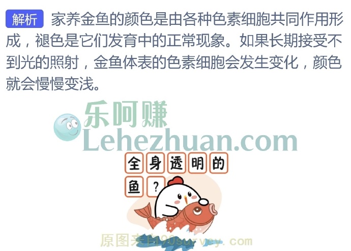 如果在黑暗的屋子里养金鱼,它身体的颜色会?