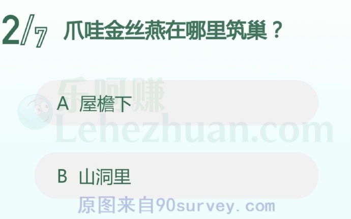 爪哇金丝燕栖息在岛屿的悬崖中