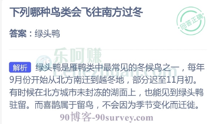 哪种鸟类会飞往南方过冬?