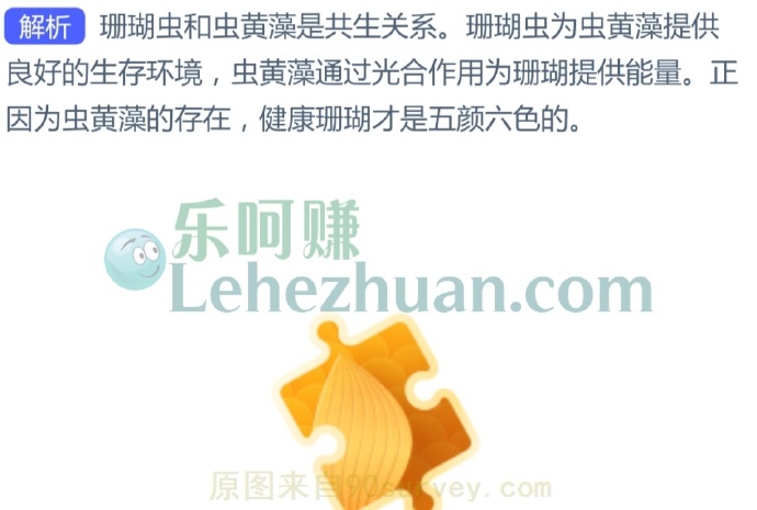 谁是珊瑚虫共生的小伙伴?