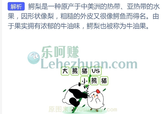 鳄梨是哪种水果的别称?