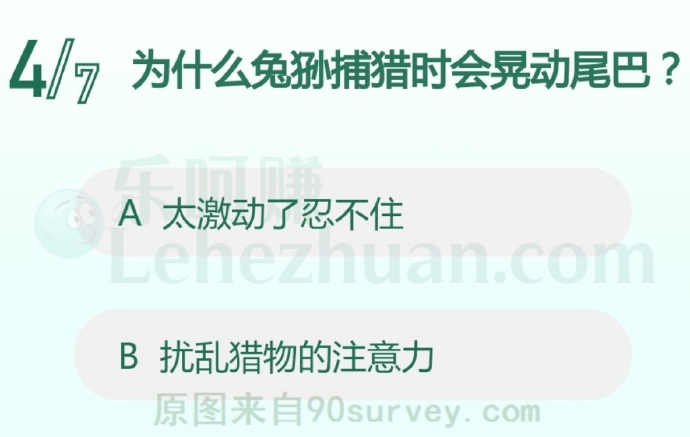 为什么兔狲捕猎时会晃动尾巴?