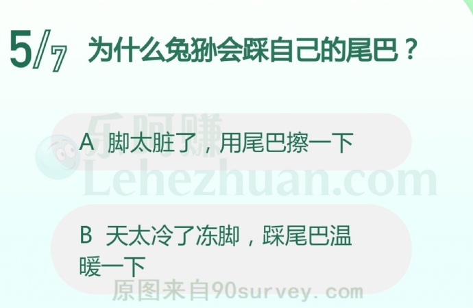 为什么兔狲会踩自己的尾巴?