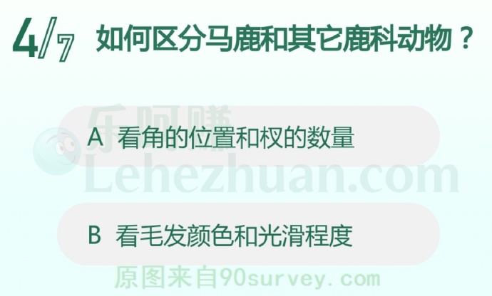 如何区分马鹿和其它鹿科动物?