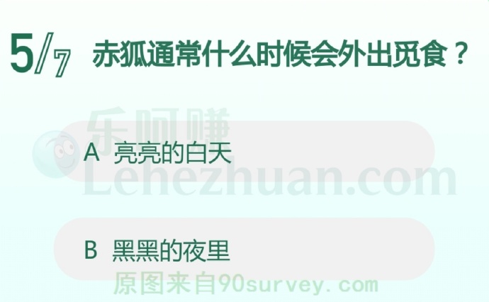 赤狐通常什么时候会外出觅食?