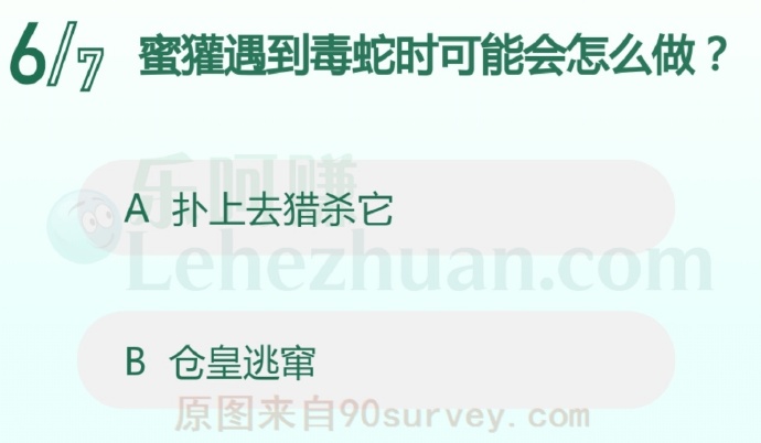 蜜獾遇到毒蛇时可能会怎么做?