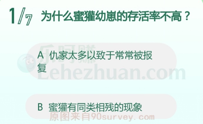 为什么蜜獾幼崽的存活率不高?