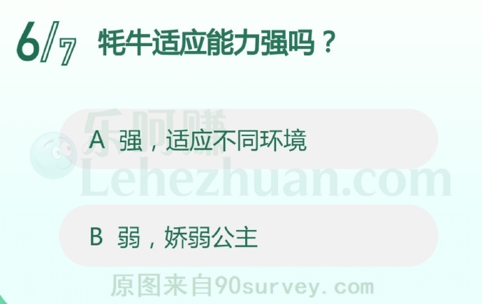 牦牛适应能力强吗?