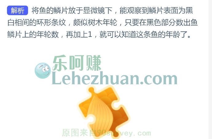 以下哪种办法有助于判断鱼的年龄?