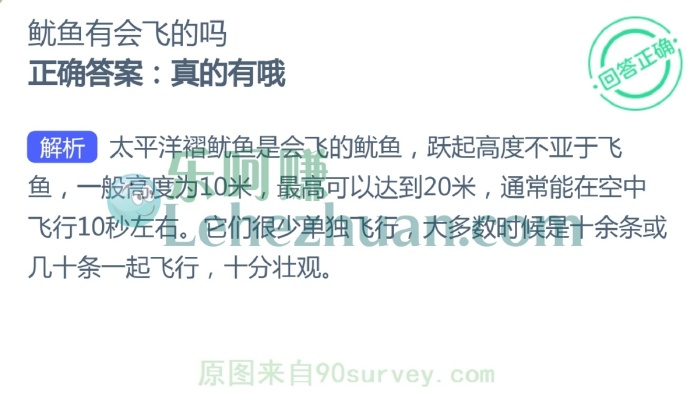 鱿鱼有会飞的吗?
