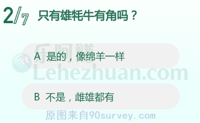 只有雄牦牛有角吗?