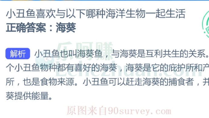 小丑鱼喜欢与以下哪种海洋生物一起生活?