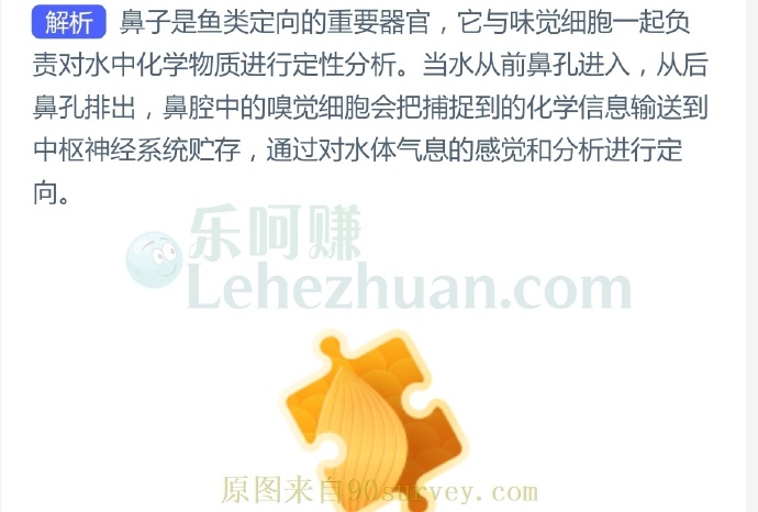 鱼类有高超的认路本领,它们靠什么定向?