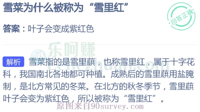 雪菜为什么被称为“雪里红”?