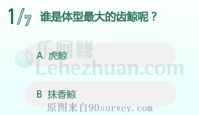 抹香鲸是体型最大的齿鲸