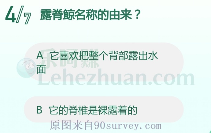 露脊鲸喜欢把整个背部露出水面
