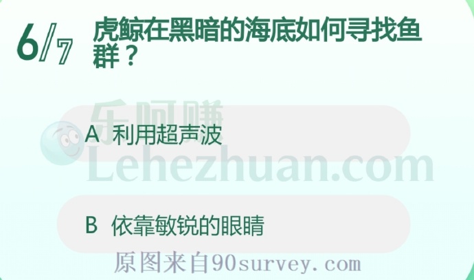 虎鲸在黑暗的海底如何寻找鱼群?