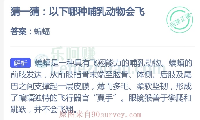 哪种哺乳动物会飞?