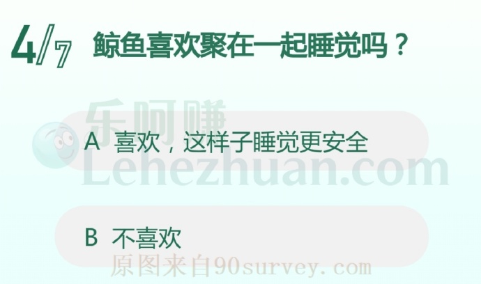 鲸鱼喜欢聚在一起睡觉吗?